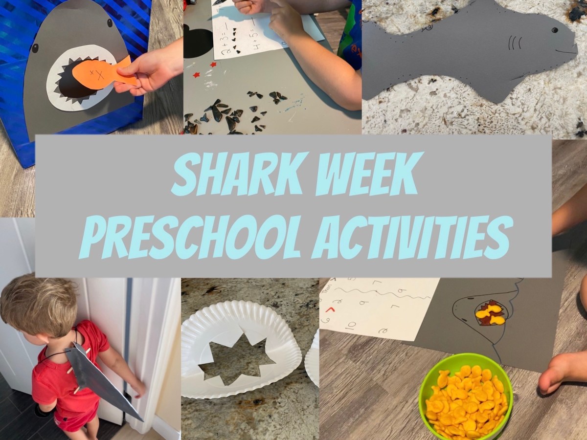 It’s a Bad Week to be a&nbsp;Seal…