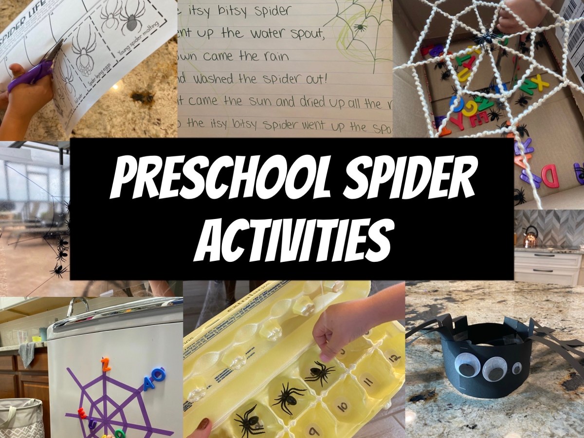 Creepy, Crawly SPIDERS!