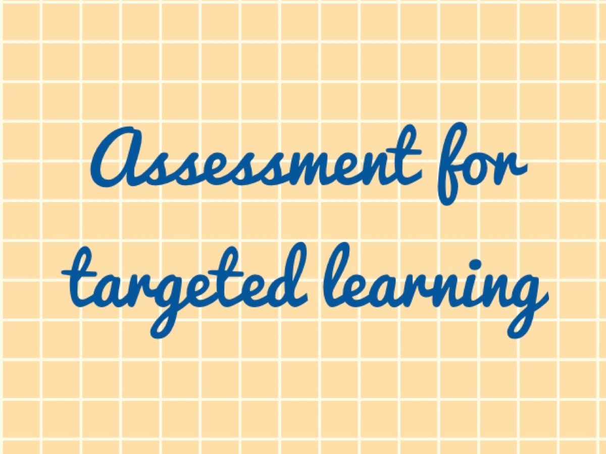 Assessments for Targeted&nbsp;Instruction