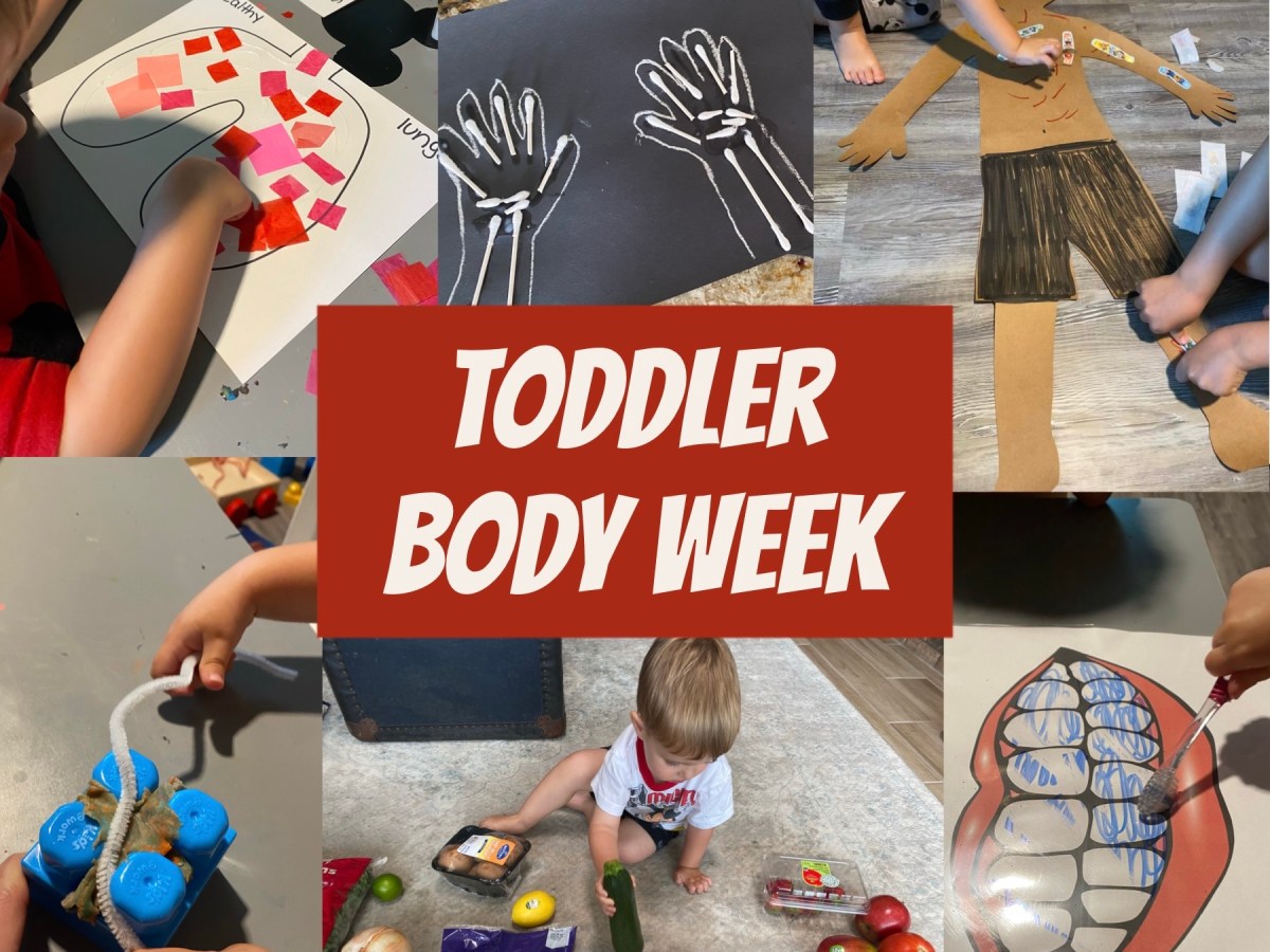 Head, Shoulders, Knees and&nbsp;Toes