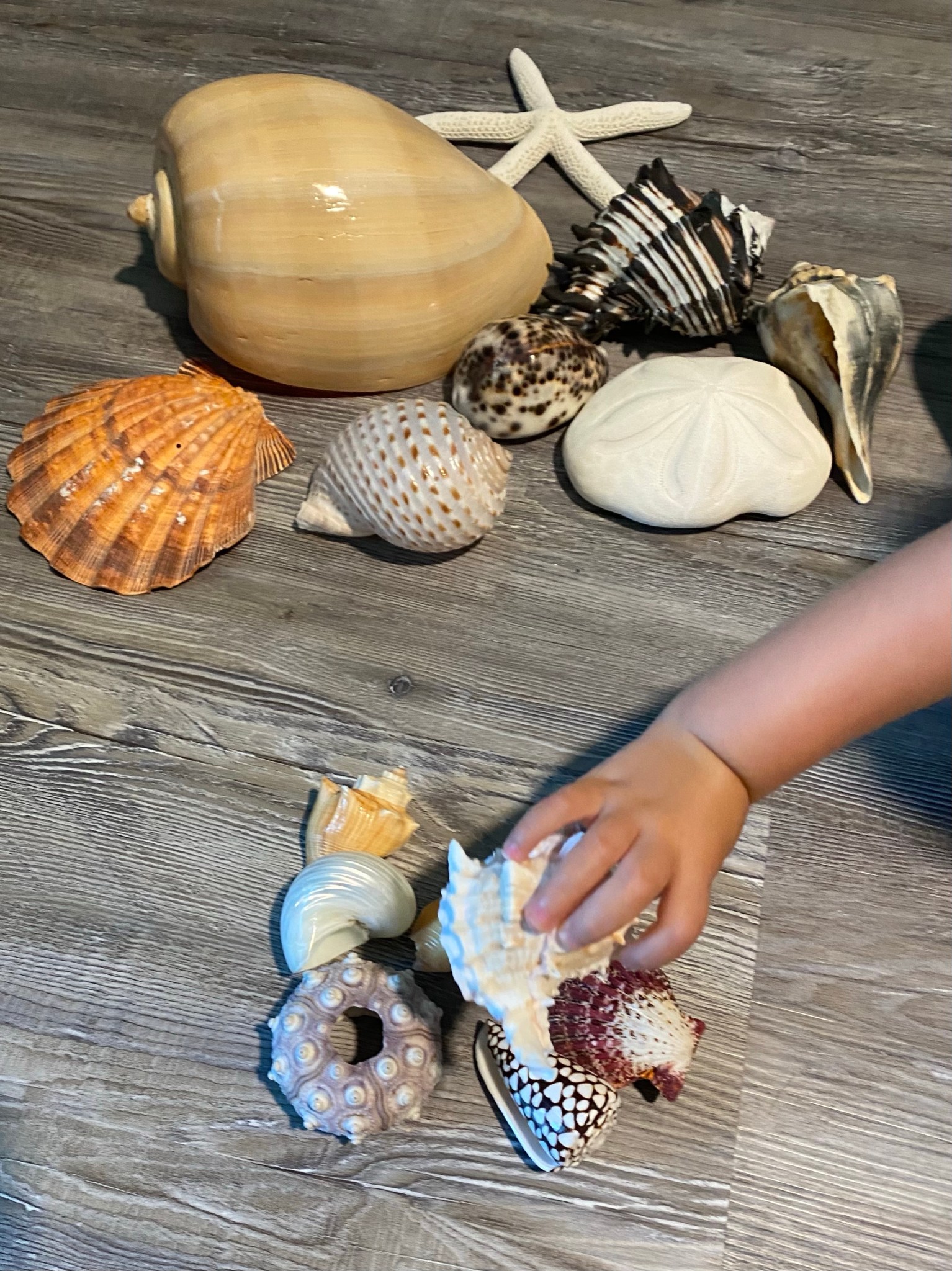 Treasure Chests and Mermaid Tails