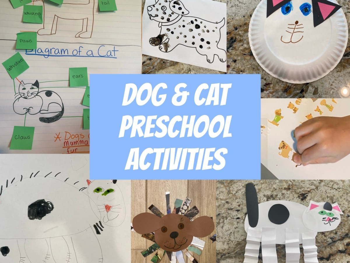 Raining Cats and&nbsp;Dogs